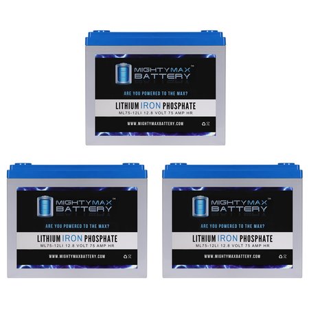 12V 75AH Lithium Replacement Battery compatible with Wayne ESP25 Back-Up Pump - 3PK -  MIGHTY MAX BATTERY, MAX4010585